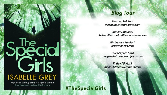 The Special Blog Tour Poster
