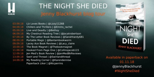 The Night She Died Blog tour poster