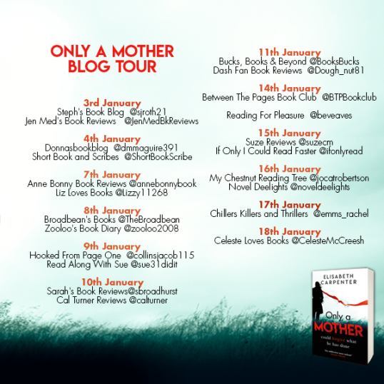 Only a Mother Blog Tour.png